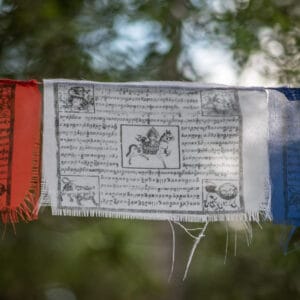 Fernando Tubbs -  @fernandotubbs