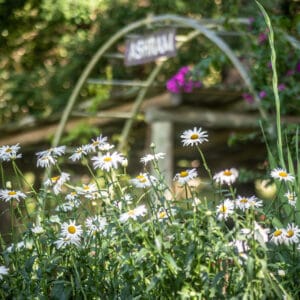 Fernando Tubbs -  @fernandotubbs