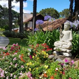 imagem para google6 (1)