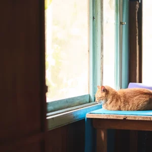 acomodacoes-yoga-montanha-encantada-10